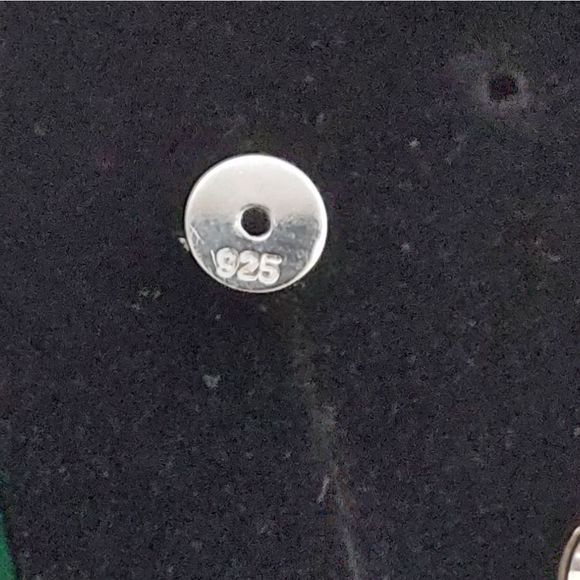 1 Carat Moissanite 925 Silver Sterling Stud Earrings - Picture 10 of 15